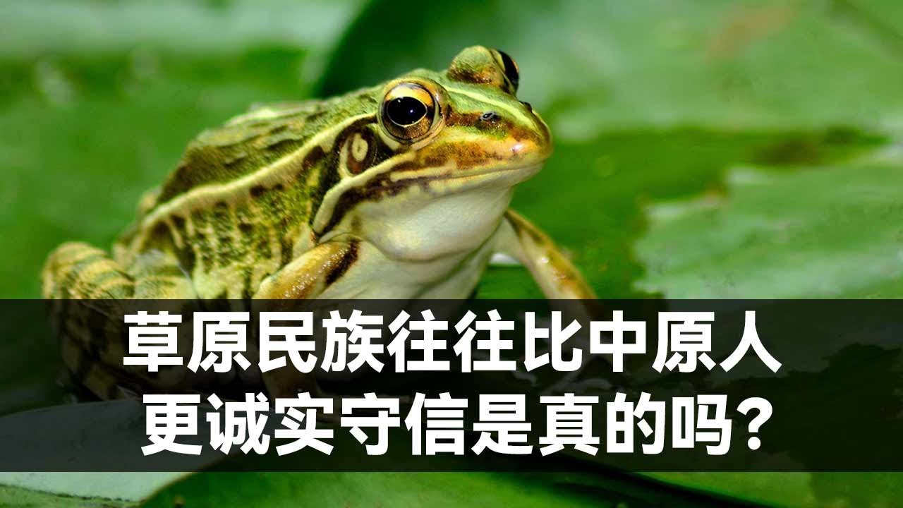草原民族往往比中原人更诚实守信是真的吗?【知乎讨论】 - YouTube
