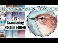 15 NEW SCHMINCKE GRANULATING WATERCOLORS 2020 Special Edition Review + How To Mix Your Own!