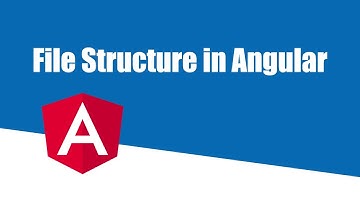 Angular Crash Course - File Structure | Part 3