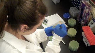 Going to University of Virginia? Consider Medical Research