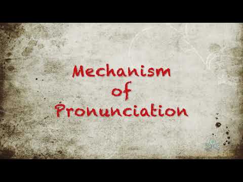 OM Meditation – The Cosmic Sound of Consciousness– How to Chant OM?