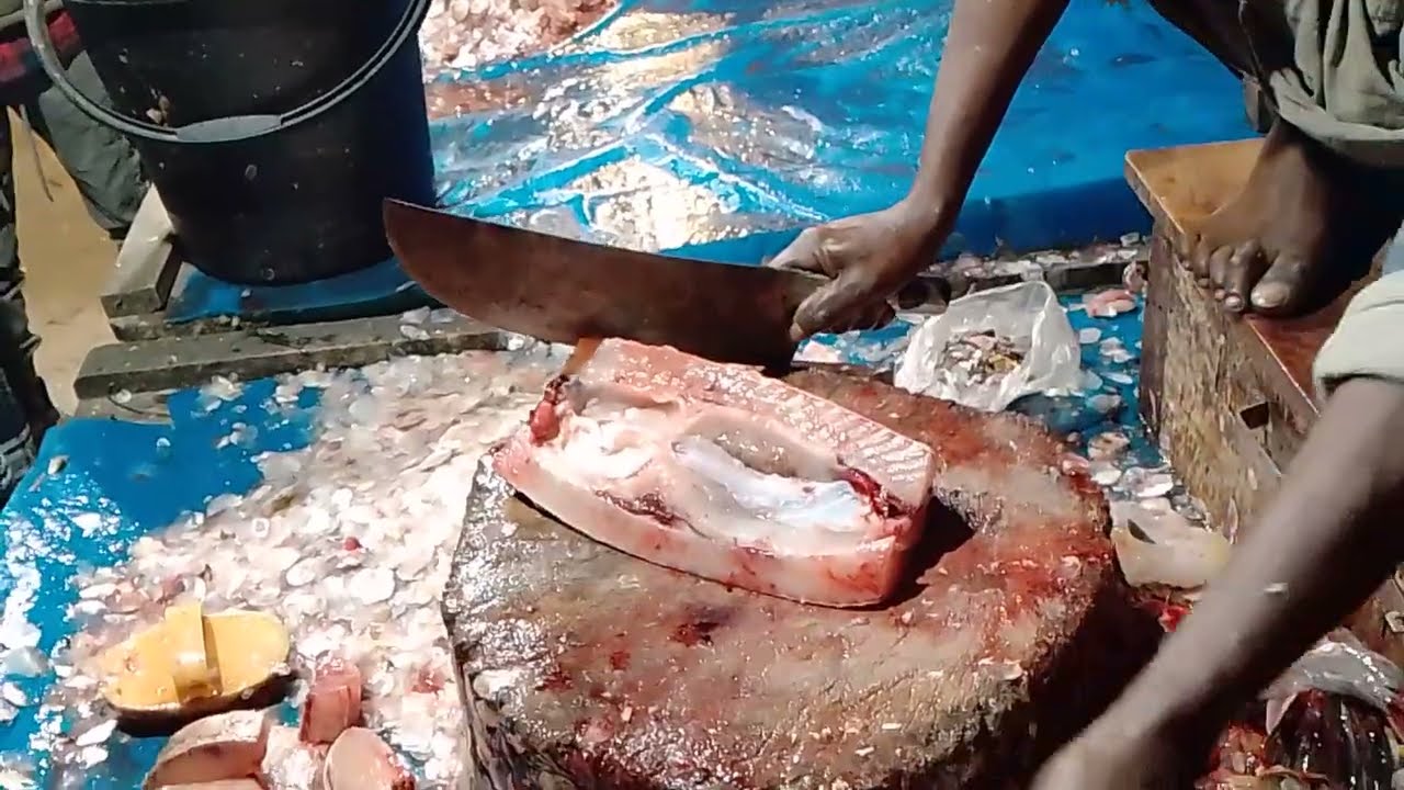 Satisfying Big Fish Cutting Skills 🔪🐟 | Amazing Fish Processing