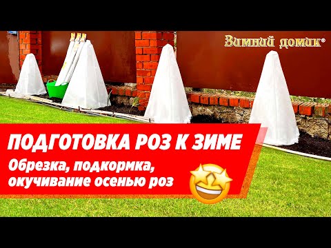 Укрытие роз на зиму 🌹 Подготовка, обрезка, подкормка осенью роз.