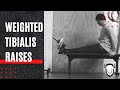 Tibialis raises (weighted)