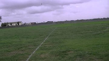 3 weeks pilot first nose in hover trex 500.