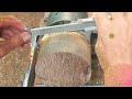 Natural Palm Wood Plate Protector