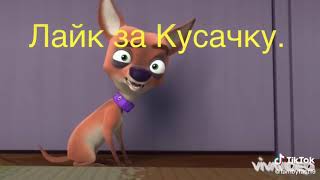 кусачка 🐶🐶 реально жалко 🐕