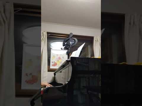 オリビアを聴きながら