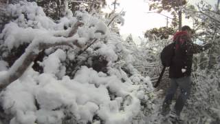 Xmas Tree Time Lapse 2012