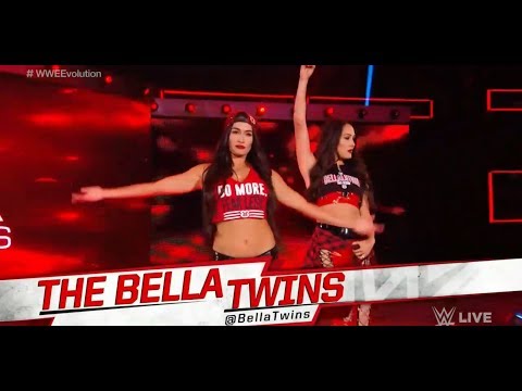 The Bella Twins