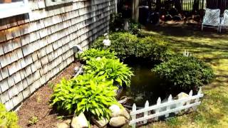 Homes for Sale - 940 Cotuit Road, Rt 149 - Marston Mills, MA 02648 - Jeanette Neeven