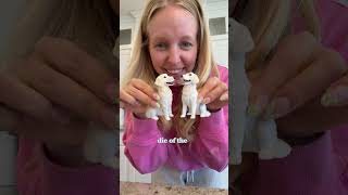 Dog wedding part three! We have got so much done and so much still left to do! This is going.