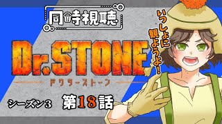Dr.STONE 同時視聴