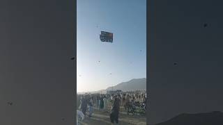 Wait for End #kitechallenge #kiteflying