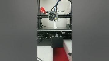 🦷Toothpaste Squeezer Time-lapse 🦷