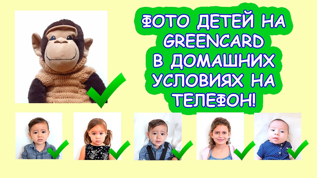 телефон для грин-карты