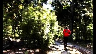 lonely camper moreton island short film