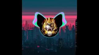 DJ Tehiba Tehi (Slow & Reveb)