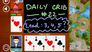 Daily Cribbage #22 - What should we lead here? screenshot 1