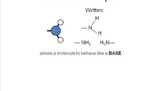 Macromolecules Part 2: Functional Groups