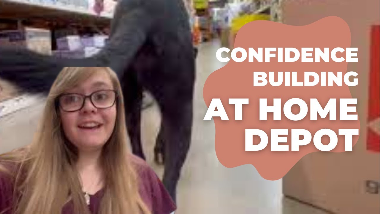 Confidence Building with Service Dog in Training at Home Depot! YouTube