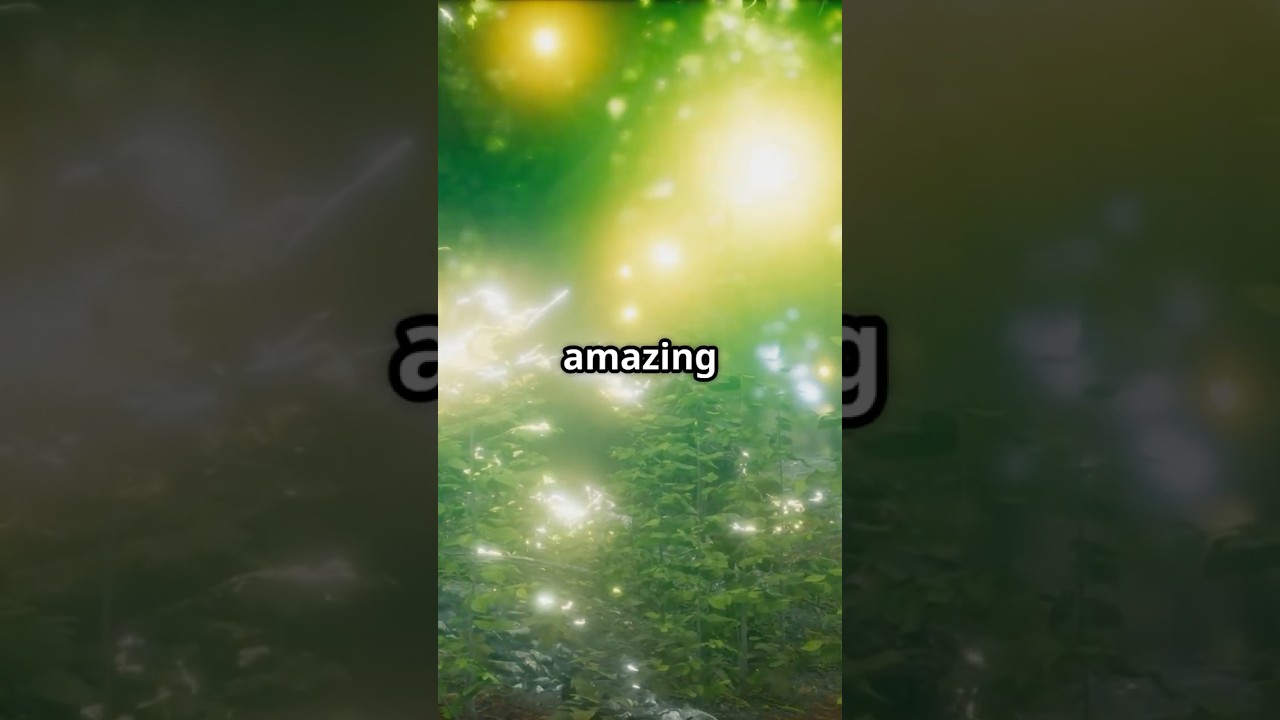 Why Do Fireflies Glow? 🌟 Magical Nature Fact for Kids 