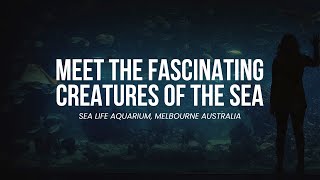 Why YOU NEED to visit this AQUARIUM screenshot 2