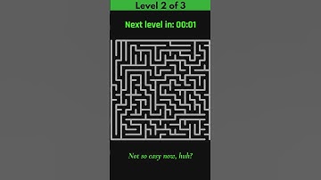 Can You Solve All 3 Maze Puzzles? 🧠 Quick Brain Game!