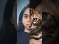 Voice for the Voiceless 🫂 #shortfilm #vegan #govegan #educationalvideo #animals #animallove #peta