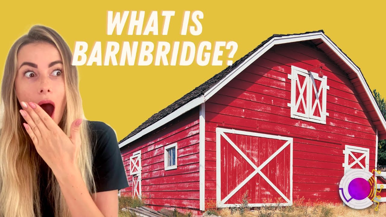 What Is BarnBridge?