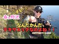 【春バス釣り】バスを連発させて釣る方法!春バス釣り/おすすめリグ