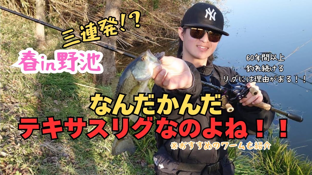 【春バス釣り】とりあえずバスを連発させて釣る方法！春バス釣り/おすすめリグ