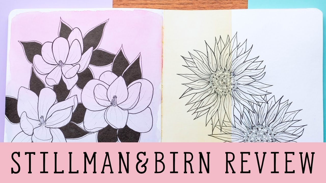 Stillman & Birn Sketchbook Review