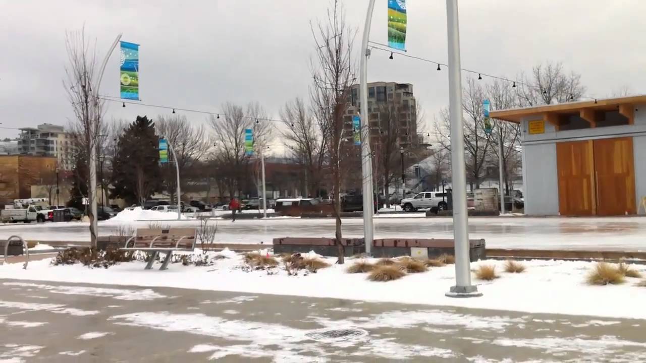 Kelowna seagull invasion 2011