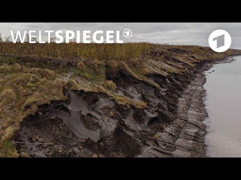 Video: Das Durch Erwärmung Verursachte Auftauen Des Permafrosts Verschärft Die Durch Die Mikrobielle Gemeinschaft Vermittelte Kohlenstoffzersetzung Im Tundra-Boden