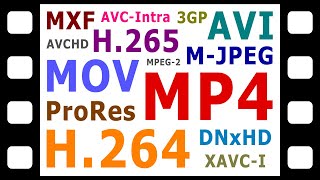 Explaining Digital Video: Formats, Codecs & Containers screenshot 2