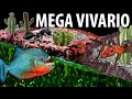 🐟 El Megavivario 6 meses despues 🐟 COMO HAN CRECIDO LAS PIRAÑAS Y LAS HORMIGAS !