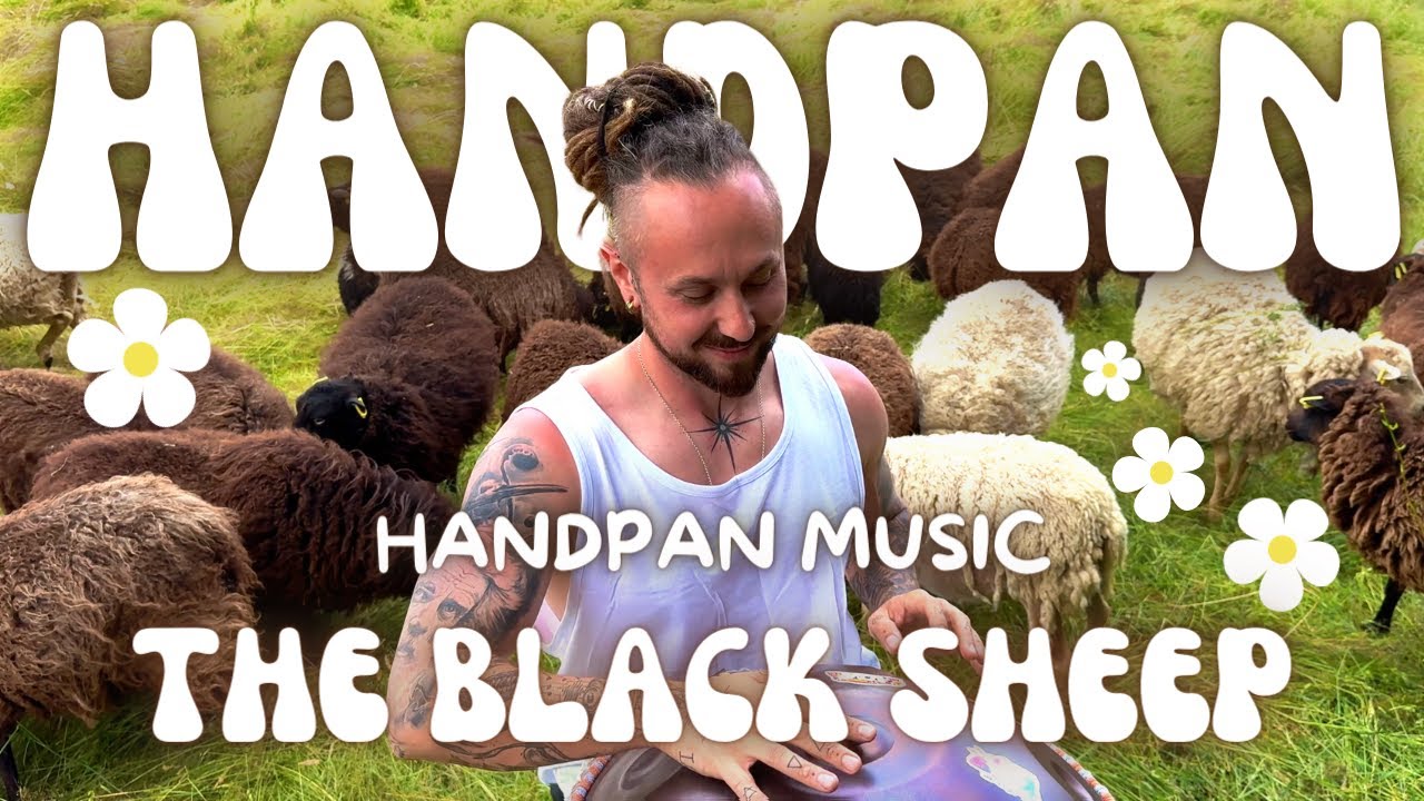 The Black Sheep | Warren Shanti Handpan Music | Calming Sounds for Inner Peace