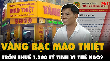 HIỂU ĐÚNG NHẤT vụ trốn thuế 1.200 tỷ của Nguyễn Thế Bảo -Giám đốc VÀNG BẠC MÃO THIỆT BẢO THẢO | PKT