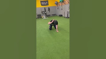 Quadruped T Spine Rotation