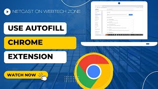 How to Use Autofill Chrome Extension, How Does Chrome Autofill Work screenshot 3