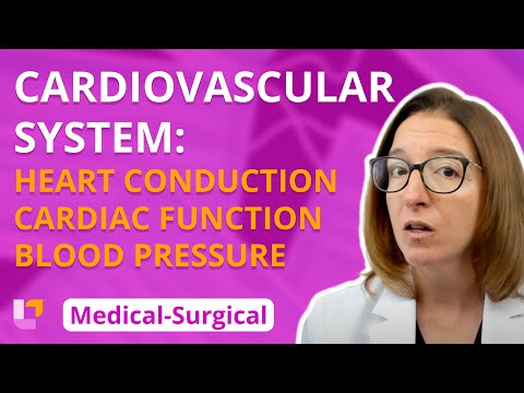 Heart Conduction System, Cardiac Function, Blood Pressure - Medical-Surgical - Cardiovascular