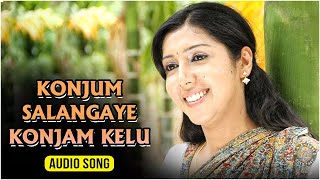 Konjum Salane Konjam Kelu Audio Song Kallapetty Saindhavi Aswin Balaji, Rosin