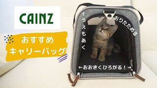 カインズのキャリーバッグ「ケージにもなる折りたたみペットキャリー」を紹介♪おしゃれ＆便利でおすすめな猫グッズ！