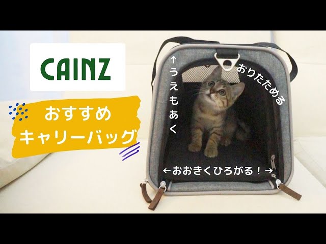 【美品】キャリー　犬猫　お出かけ　キャリーリュック　inside dog cat sddefault.jpg
