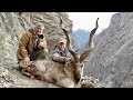 Markhor 2018 Hunting (Chasse) is the best for conservation by seladang