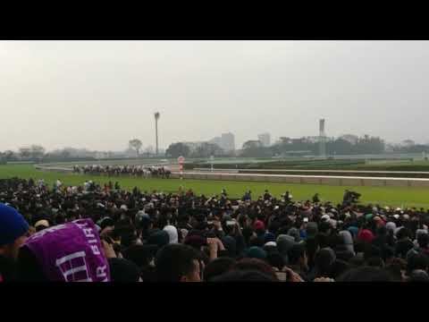 2018 有馬記念 現地撮影