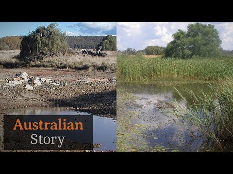 Video: A Long-living Farmer From Australia Has Revealed His Secret - Alternative View