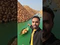 😍 Welcome to Pani Puri World🤯  #viralvideo   #trendingnow #youtubeindia #shortvideo #viralcontent