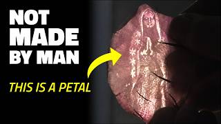 Sacred Faces Appeared on Petals: Not Made by Man (Science Baffled!)
